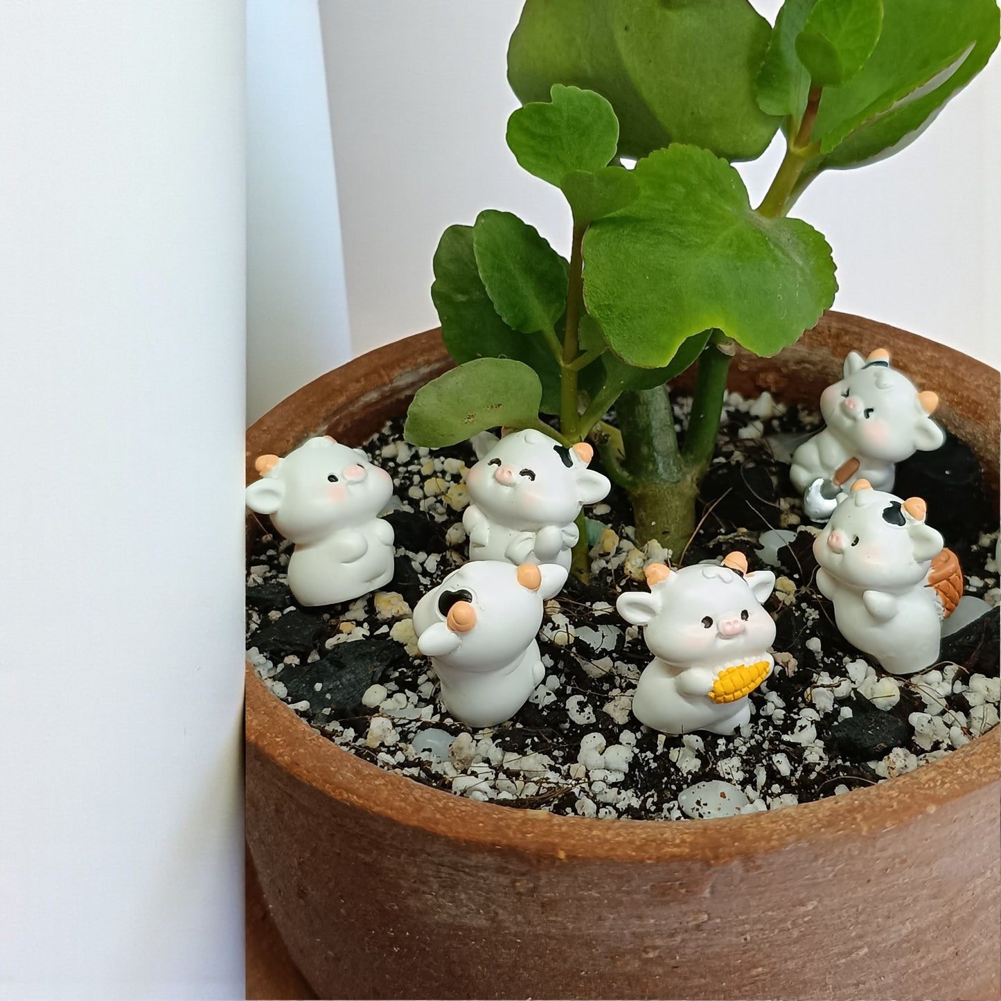 Gaivya Kalanchoe Succulent in Terracotta Pot with Mini Figurines