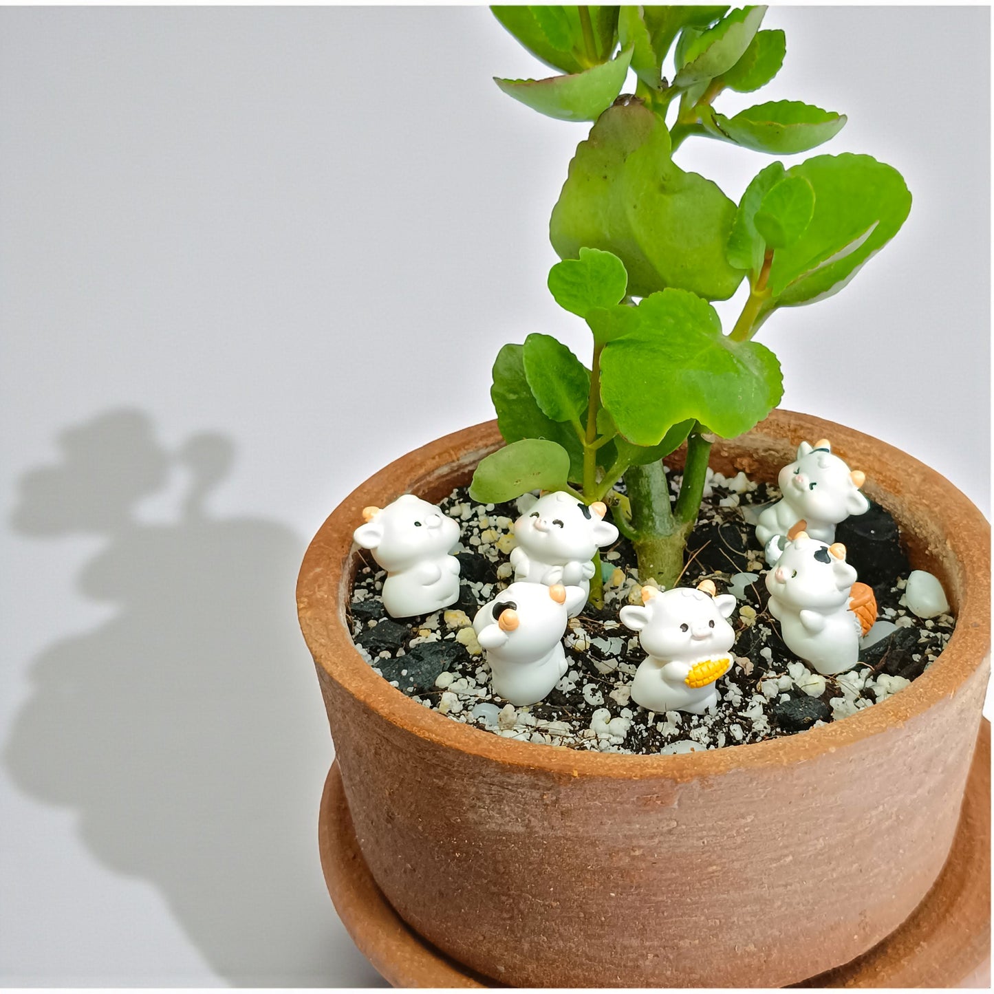 Gaivya Kalanchoe Succulent in Terracotta Pot with Mini Figurines