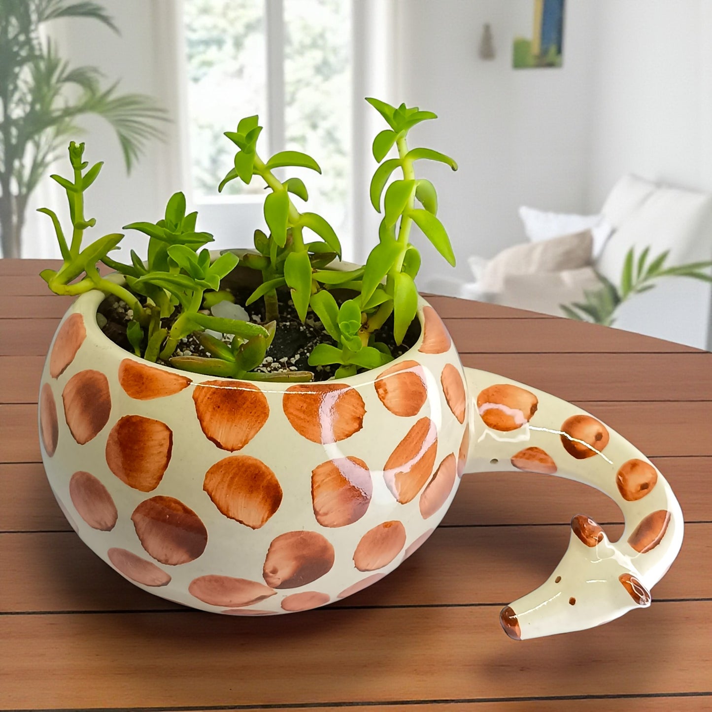 Gaivya Sedum Adolphii Succulent in Designer Giraffe Ceramic Pot