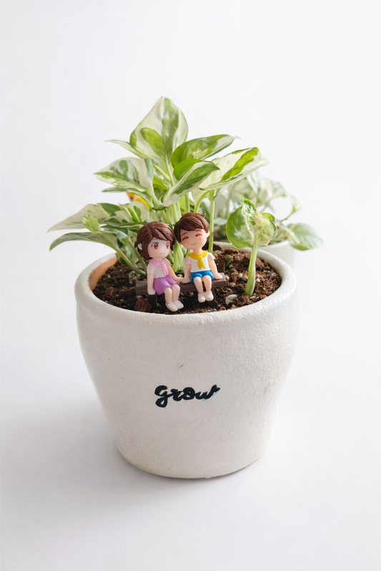 Ivory & Ink | “Grow” Miniature Couple Planter with Variegated Pothos (March Collection)
