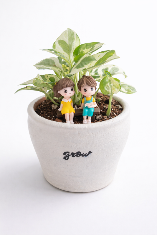 Ivory & Ink | “Grow” Miniature Couple Planter with Variegated Pothos (March Collection)