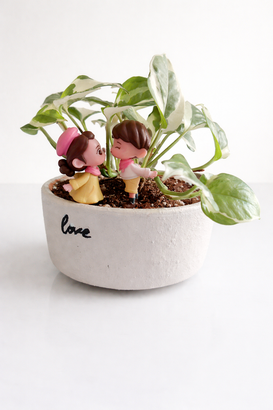 Hand-Painted Love Couple Clay Planter with Pothos Plant