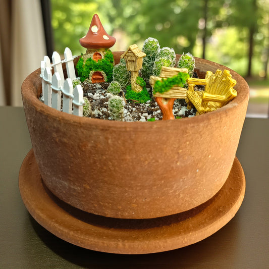 Gaivya Mini Pincushion Cactus (Mammillaria) — Fairy Garden Pot
