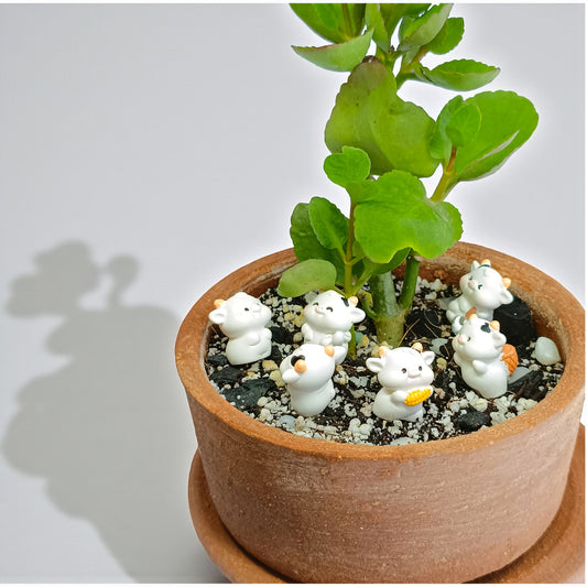 Gaivya Kalanchoe Succulent in Terracotta Pot with Mini Figurines