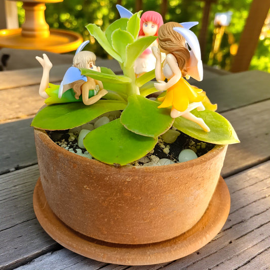 Gaivya Kalanchoe Laetivirens Succulent in Fairy Garden Pot with Figurines