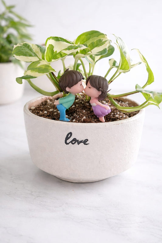 Ivory & Ink | Miniature Love Planter (March Collection)