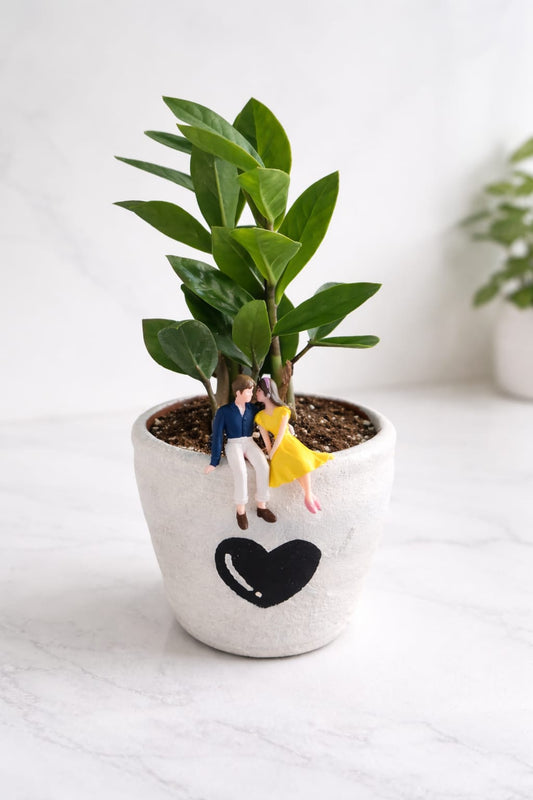 Ivory & Ink | Heart Couple Planter with ZZ Plant (March Collection)