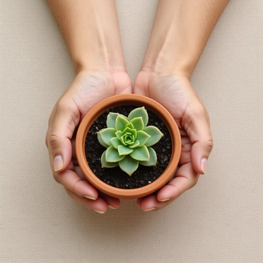 Compassion Guardian Plan — 1-Month Subscription (6-Month Program)